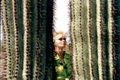Kaktusový les-národní park Saguro,Arizona