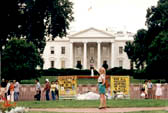 Bílý dům-Washington D.C.