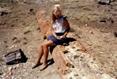 Zkamenělé stromy-Petrified Forest,Arizona