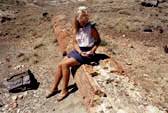 Zkamenl stromy-Petrified Forest,Arizona